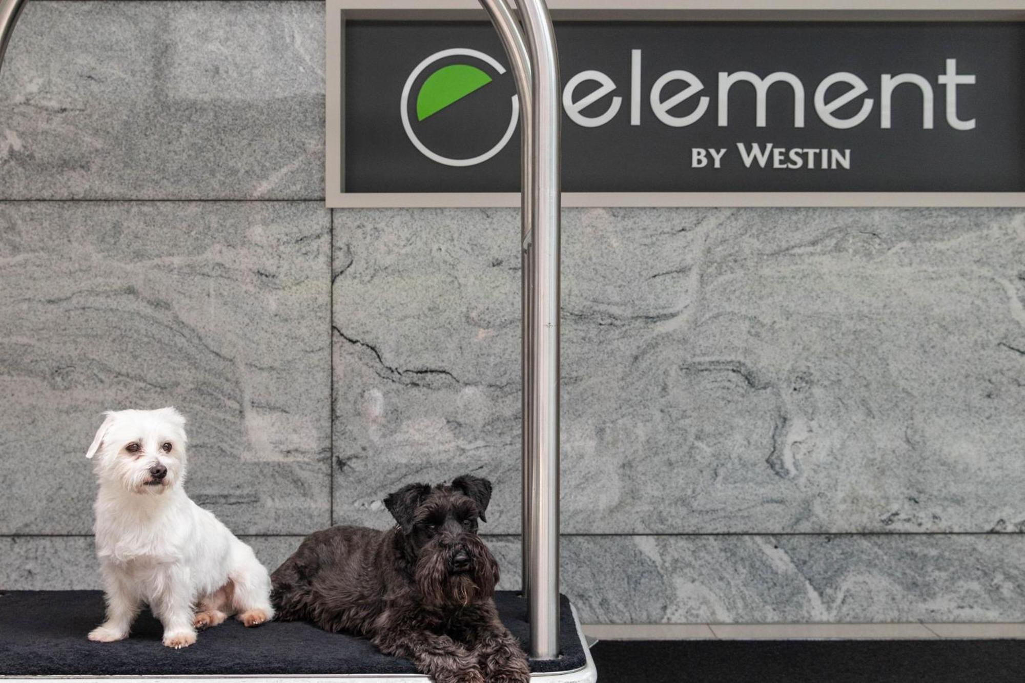Element Melbourne Richmond Hotel Bagian luar foto
